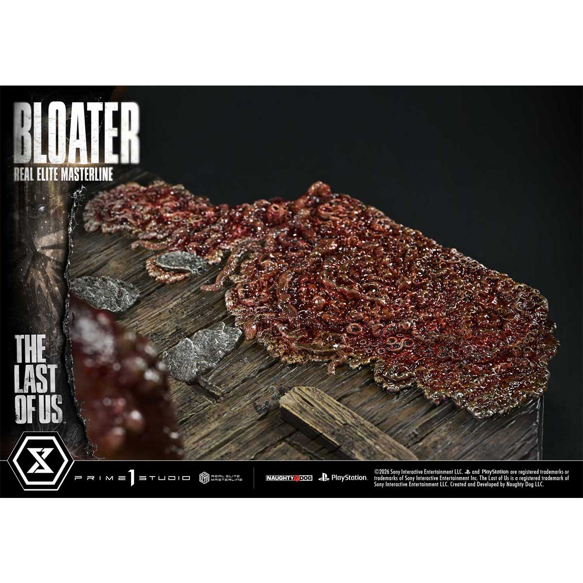 Product image 57